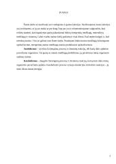 Individualaus mitybos proceso įvertinimas 3 puslapis