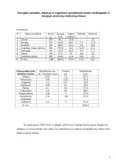 Individualaus mitybos proceso įvertinimas 5 puslapis