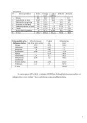 Individualaus mitybos proceso įvertinimas 7 puslapis
