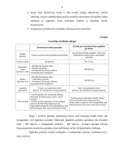 Individualaus ūkio kreditavimas 9 puslapis