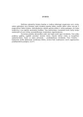 Individuali įmonė LT 2 puslapis