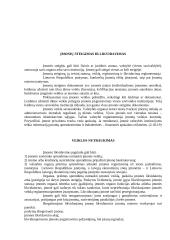 Individuali įmonė LT 4 puslapis