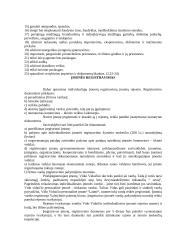 Individuali įmonė LT 6 puslapis