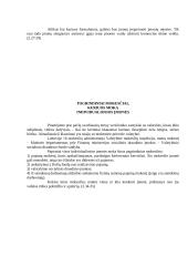 Individuali įmonė LT 7 puslapis