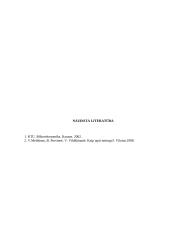 Individuali įmonė LT 10 puslapis