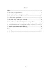 Individualioji įmonė ir jos ekonominė reikšmė 2 puslapis