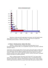 Individualioji įmonė ir jos ekonominė reikšmė 12 puslapis