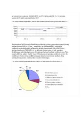 Individualioji įmonė ir jos ekonominė reikšmė 14 puslapis