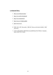 Individualioji įmonė ir jos ekonominė reikšmė 16 puslapis