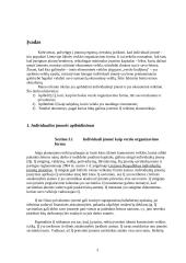 Individualioji įmonė ir jos ekonominė reikšmė 3 puslapis