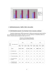 Individualioji įmonė ir jos ekonominė reikšmė 6 puslapis