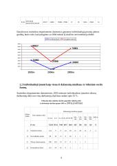 Individualioji įmonė ir jos ekonominė reikšmė 9 puslapis