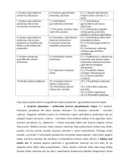 Individualios karjeros planavimas ir realizavimas 2 puslapis