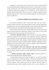 Individualios karjeros planavimas ir realizavimas 5 puslapis