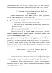 Individualios karjeros planavimas ir realizavimas 7 puslapis