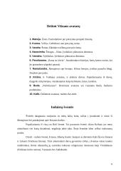 Induizmo religija 6 puslapis