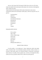 Induktyviniai jutikliai 6 puslapis