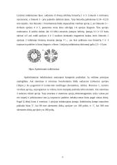 Induktyviniai jutikliai 10 puslapis