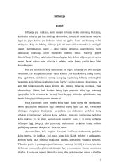 Infliacijos efektas 2 puslapis