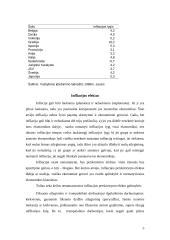 Infliacijos efektas 5 puslapis