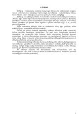 Infliacija arba kainų lygio kilimas 2 puslapis