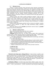 Infliacija arba kainų lygio kilimas 3 puslapis