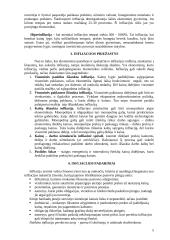 Infliacija arba kainų lygio kilimas 4 puslapis