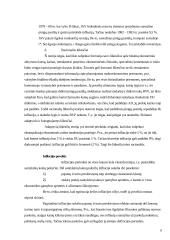 Infliacijos samprata ir atmainos 6 puslapis