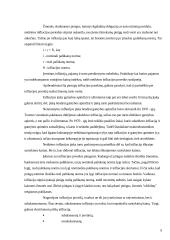 Infliacijos samprata ir atmainos 7 puslapis