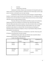 Infliacijos samprata ir atmainos 8 puslapis