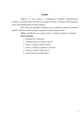 Infliacijos formos, matavimo būdai, priežastys bei pasekmės 2 puslapis