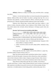 Infliacijos formos, matavimo būdai, priežastys bei pasekmės 3 puslapis