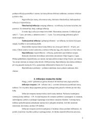 Infliacijos formos, matavimo būdai, priežastys bei pasekmės 4 puslapis