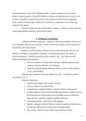 Infliacijos formos, matavimo būdai, priežastys bei pasekmės 5 puslapis