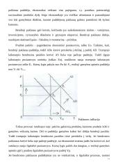 Infliacijos lygis, matavimo būdai, pasekmės, priežastys bei prevencija 11 puslapis