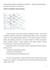 Infliacijos lygis, matavimo būdai, pasekmės, priežastys bei prevencija 12 puslapis