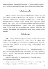Infliacijos lygis, matavimo būdai, pasekmės, priežastys bei prevencija 4 puslapis