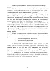 Infliacija ir infliacijos priežastys 2 puslapis