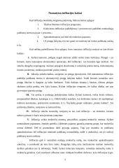 Infliacija ir infliacijos priežastys 5 puslapis