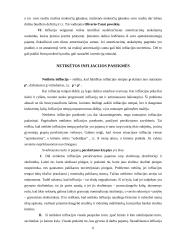 Infliacija ir infliacijos priežastys 6 puslapis