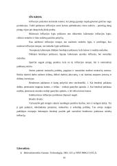 Infliacija ir infliacijos priežastys 10 puslapis