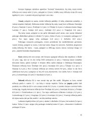 Infliacija Europos Sąjungoje (ES) 15 puslapis