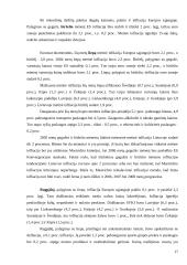 Infliacija Europos Sąjungoje (ES) 16 puslapis