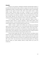 Infliacija Europos Sąjungoje (ES) 19 puslapis