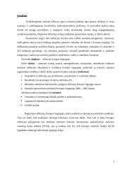 Infliacija Europos Sąjungoje (ES) 2 puslapis