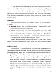 Infliacija Europos Sąjungoje (ES) 4 puslapis