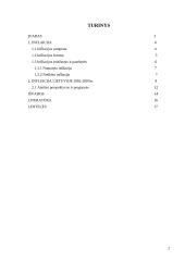 Infliacija Lietuvoje 2002-2007 metais