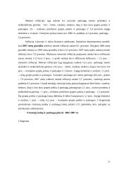 Infliacija Lietuvoje 2002-2007 metais 10 puslapis