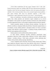 Infliacija Lietuvoje 2002-2007 metais 12 puslapis