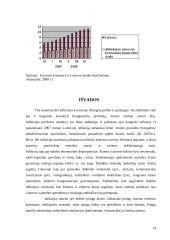Infliacija Lietuvoje 2002-2007 metais 13 puslapis